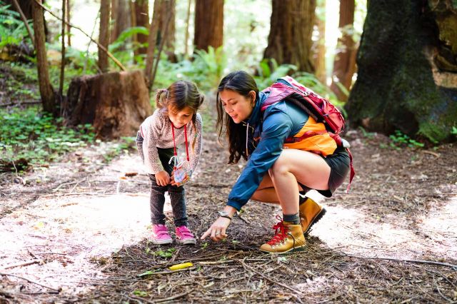 90135_em_backcountry-hiking_purisima_creek_banana_slug.jpg